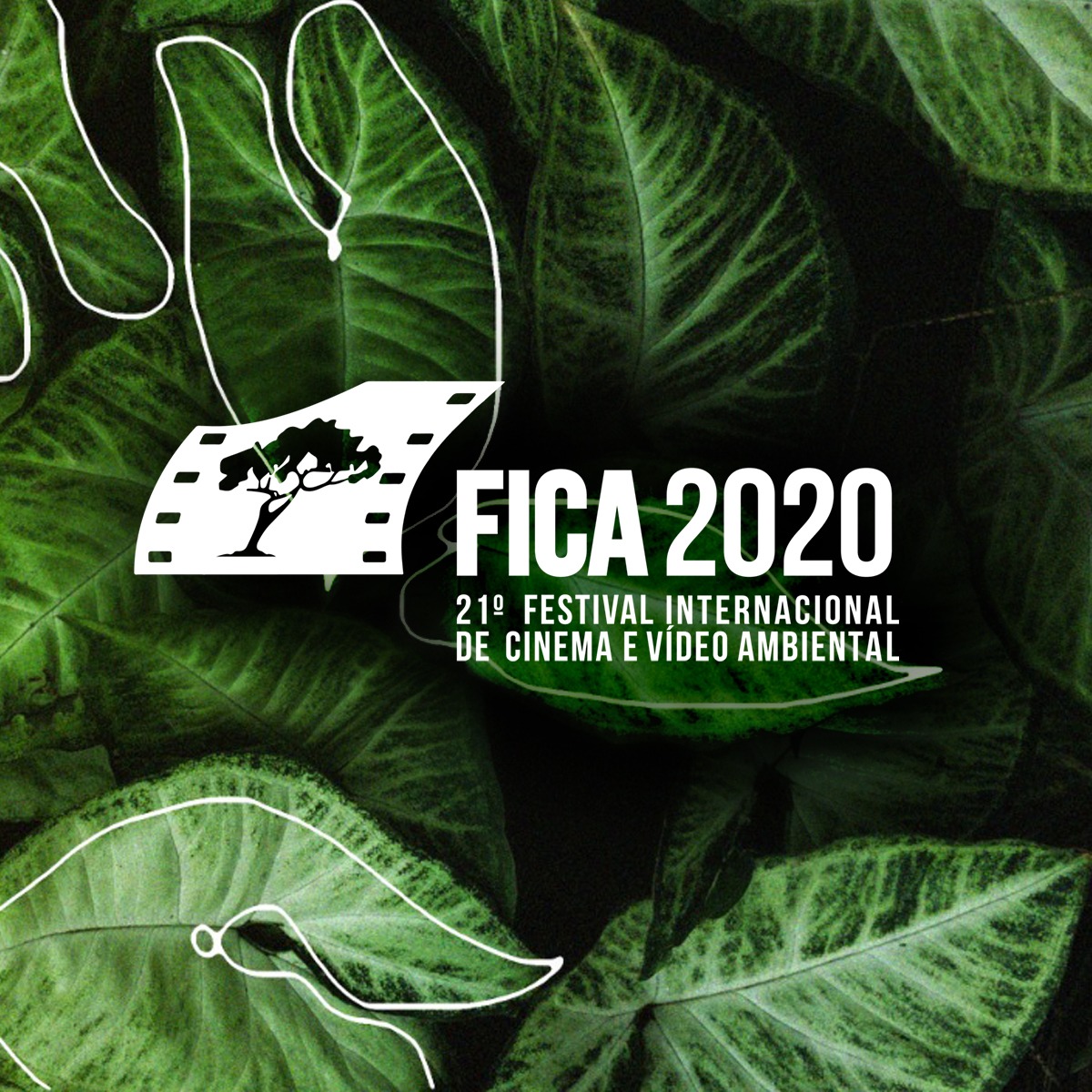 Edição digital do Fica recebe inscrição de 131 filmes em 18 dias ...