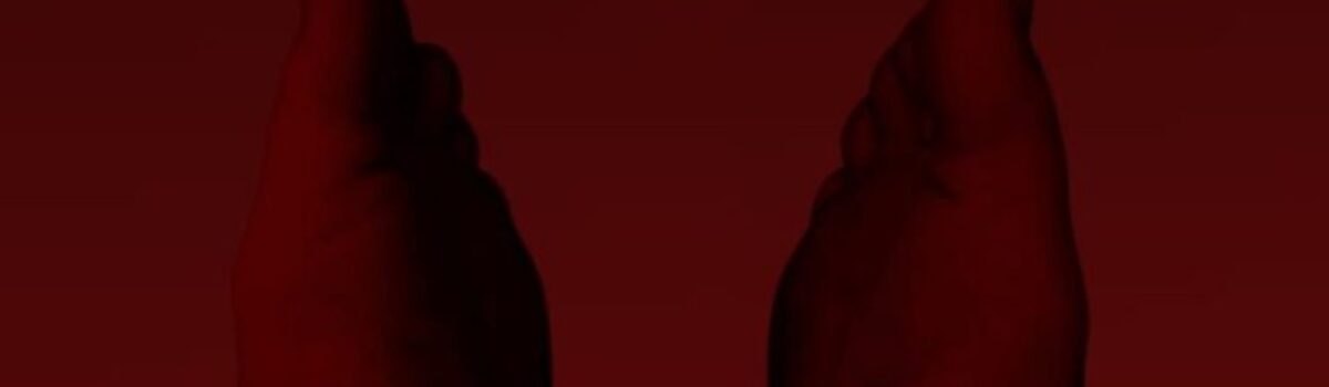 Exposição “Corpo Casa” –  Lais Rocha, Mah Ferreira, Heloísa Lemos, Thayssa Alarcão e Verônica Santana