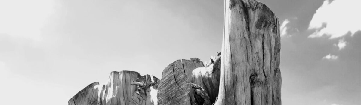 Vila Cultural Cora Coralina recebe exposição fotográfica (Entre)corpos