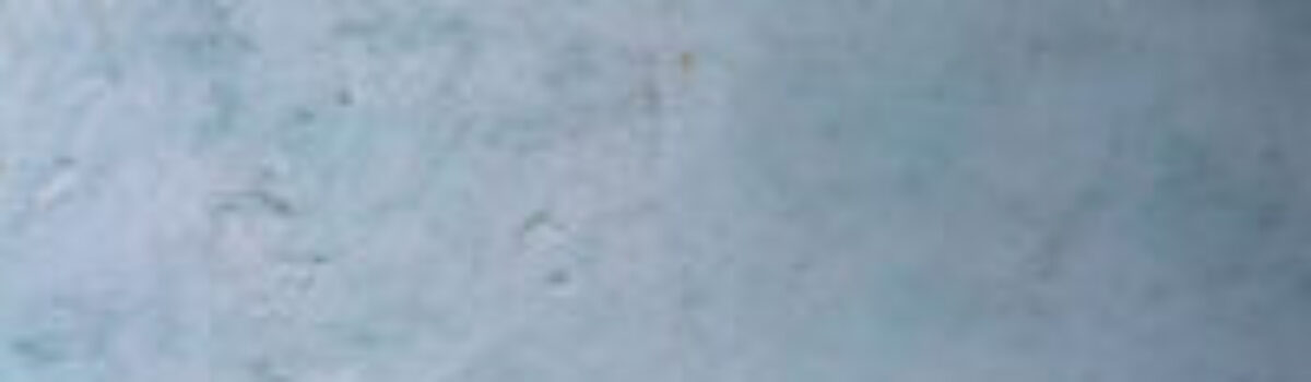 Abertura exposição “Carne e Pedra”, Carlos Monaretta