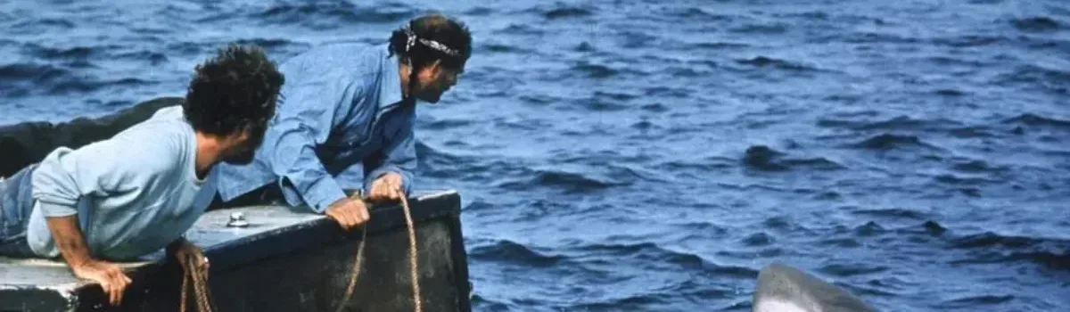 Cine Cultura exibe clássico “Tubarão” em cópia restaurada e estreia “Entre Seus Mortos”