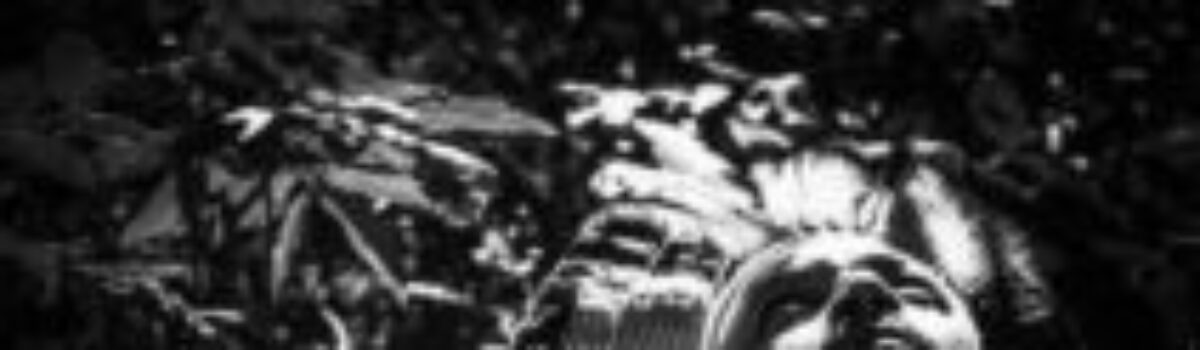 Exposição “Caboclada: Encruzilhada Afroameríndia”