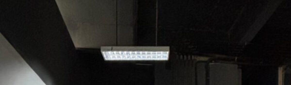 Escola de Artes Visuais recebe Residência Artística pelo Grupo de Pesquisa Corpo, Cultura e Consumo