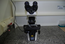 Aparelho microscópio da BIOLOGIA e DNA