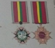 Medalha Mérito da Força Nacional de Segurança.