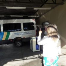 Paraenses fizeram vários registros e coletaram várias informações, em diferentes áreas