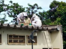 WhatsApp Image 2018-03-01 at 23.18.06