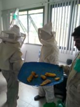 A retirada das colmeias foi feita com respeito às normas ambientais e os favos de mel foram preservados. 