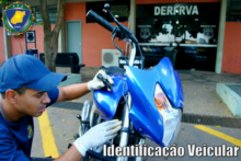 Curso de Perícias Criminais: identificação veicular.