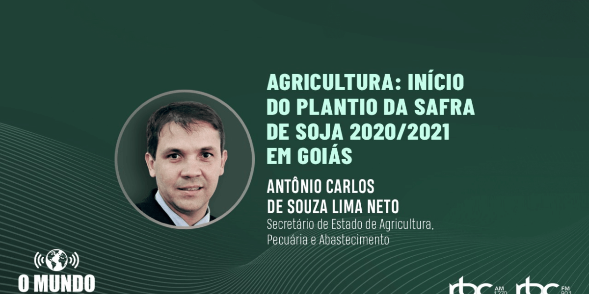 Goiás deve aumentar área plantada de soja na safra 2020/2021