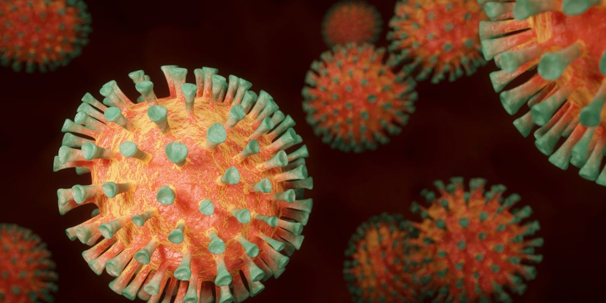 Nova cepa da Covid-19 provocou aumento da infecção e maior número de mortes