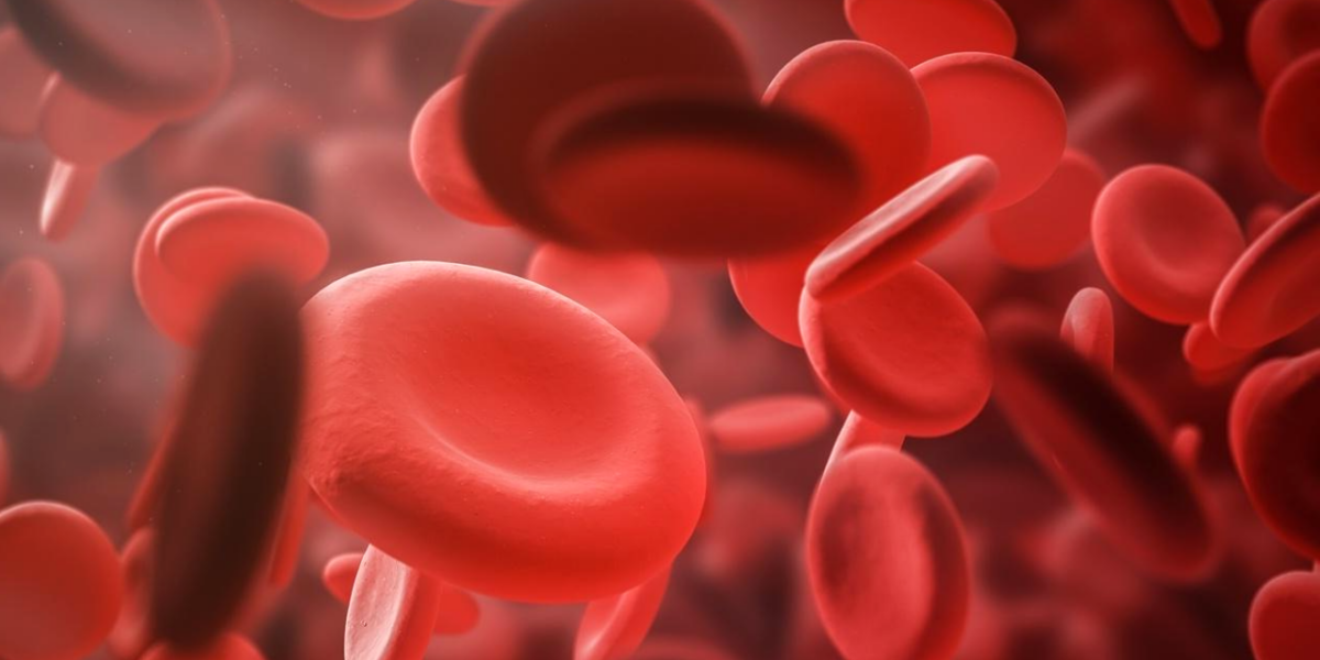 Médica do Hemocentro fala sobre riscos e formas de tratamento da hemofilia