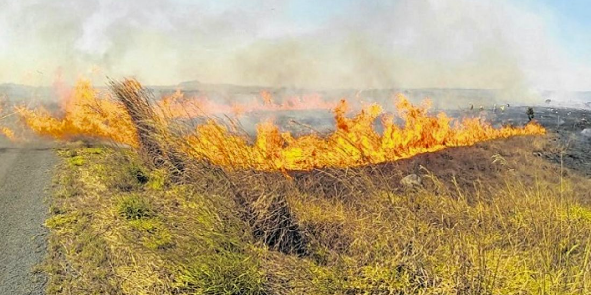 Anápolis ganha Brigada Rural que vai atuar contra incêndios florestais