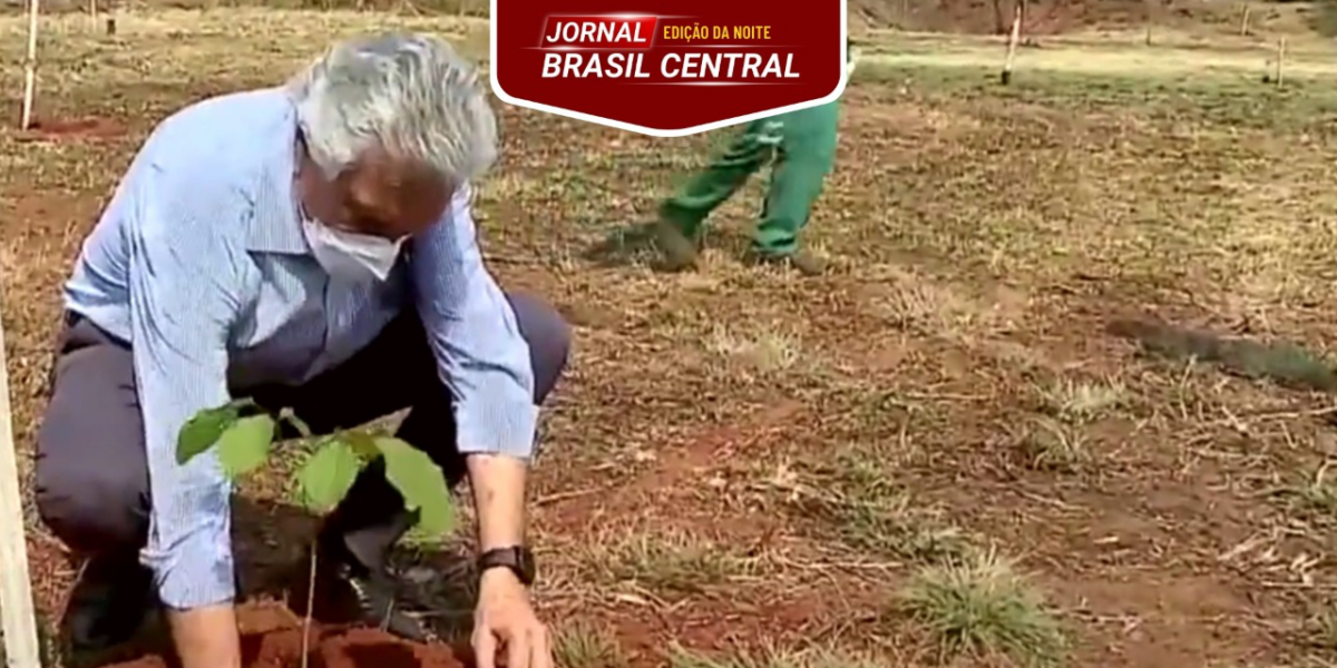 Governador Ronaldo Caiado planta árvore e lança o Movimento Goiás pelo Cerrado