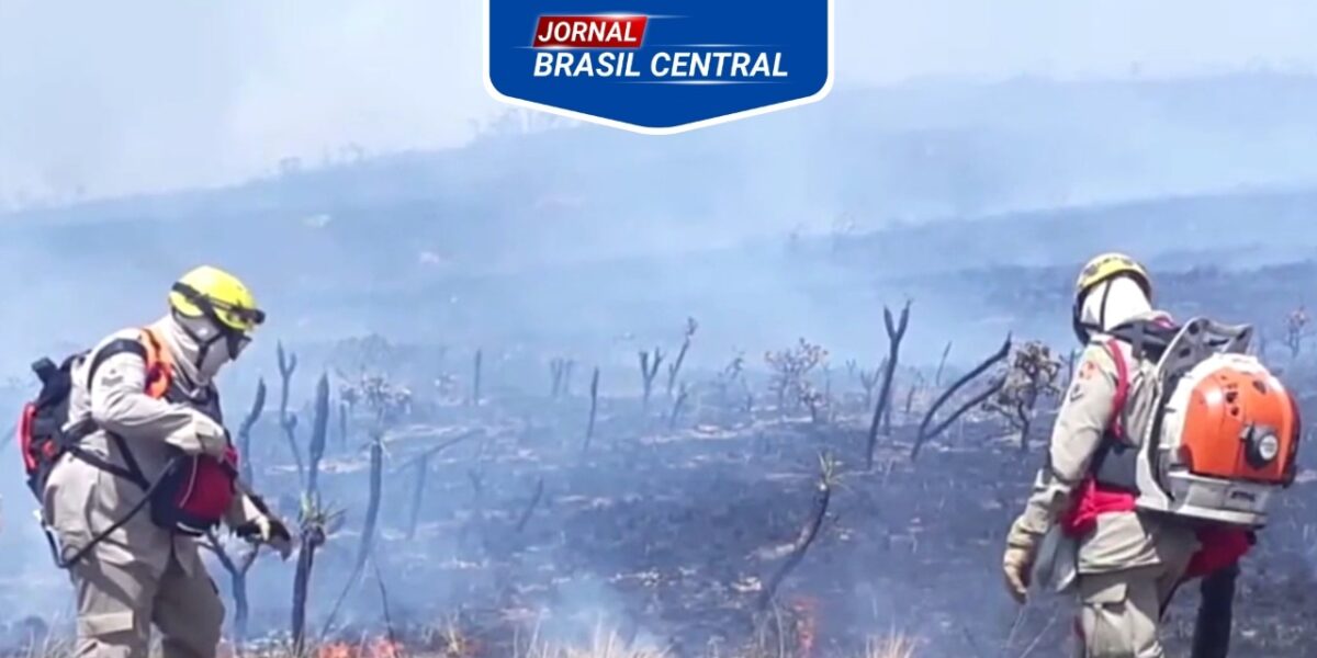 Chuva apaga incêndios em reservas florestais em Goiás