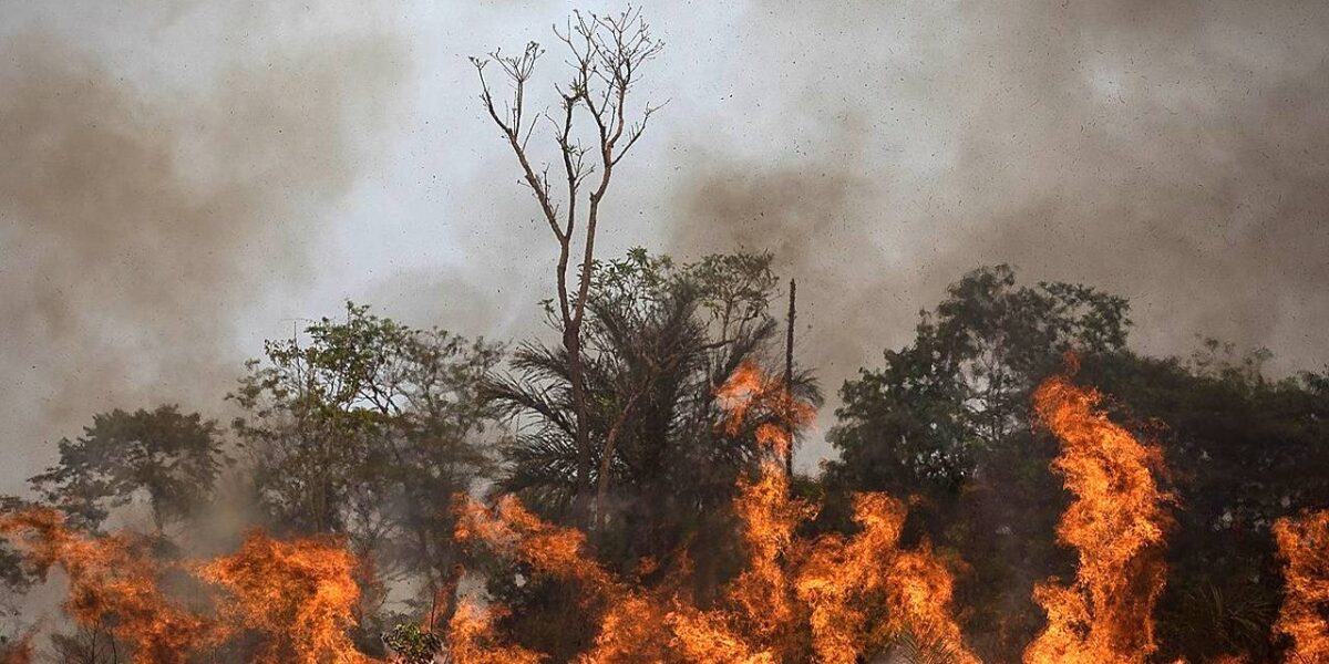 Cai área afetada por incêndios nas unidades estaduais de preservação ambiental