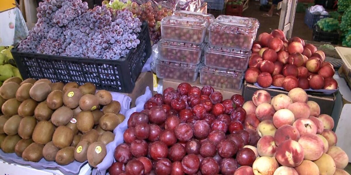 Emater promove polos de fruticultura em Goiás