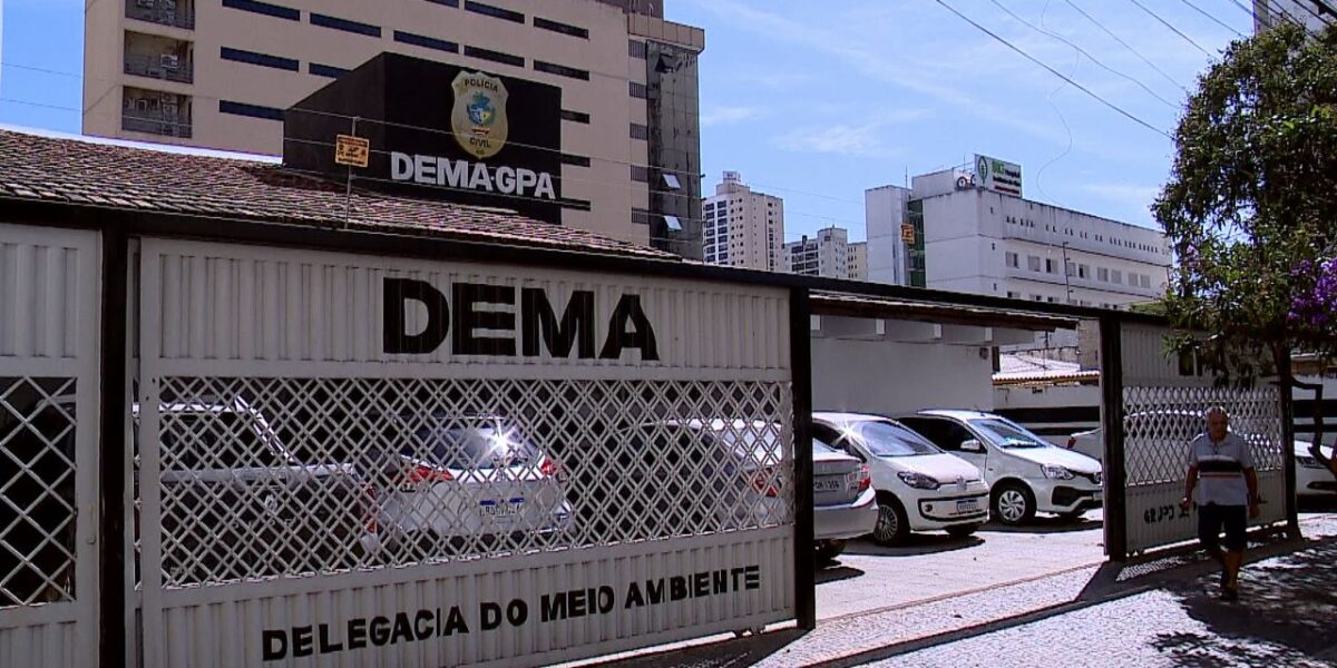 Ações da Dema reduzem crimes ambientais