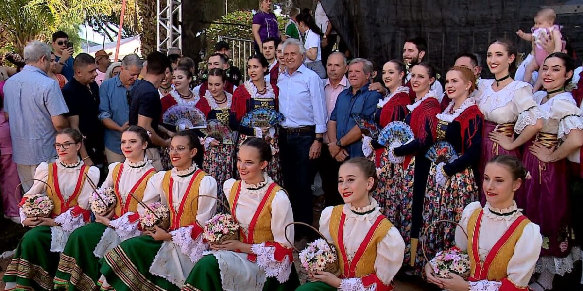 17º Festival de Nova Veneza: cerca de 140 mil passaram pelo evento