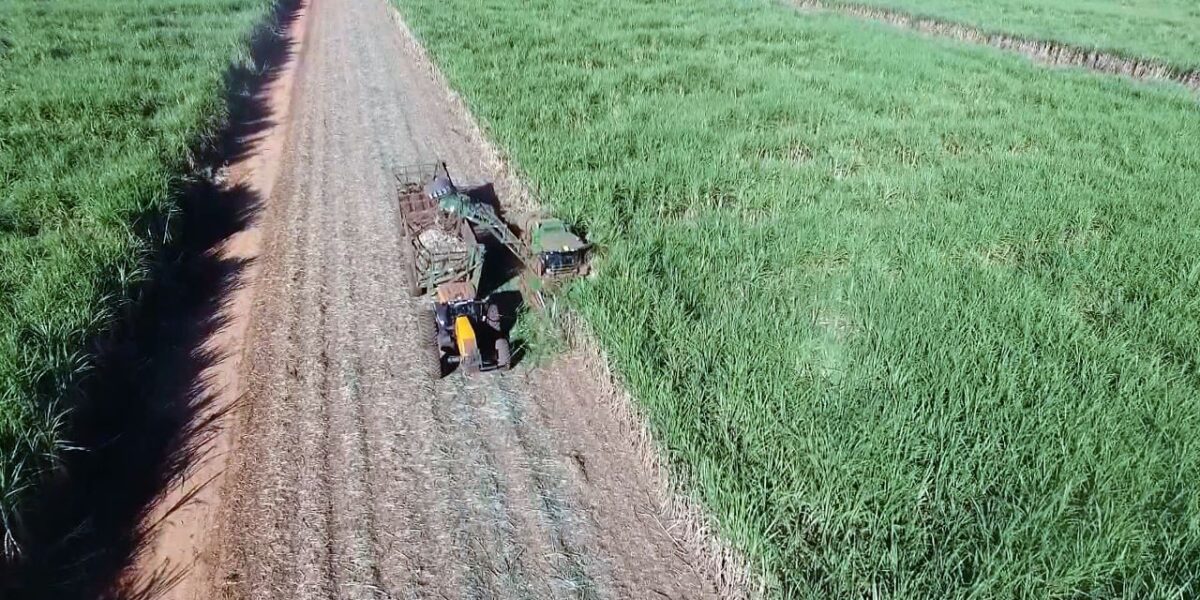 Produção agrícola volta a subir e Goiás segue o quarto maior do país