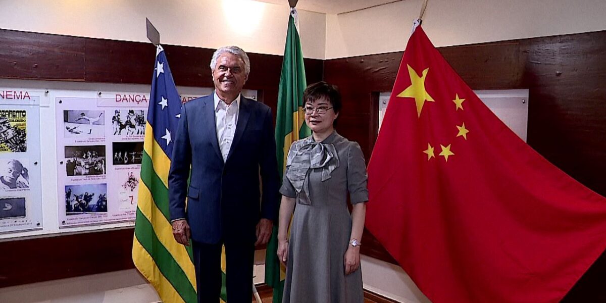 Comitiva chinesa conhece potencial de Goiás e acelera negócios