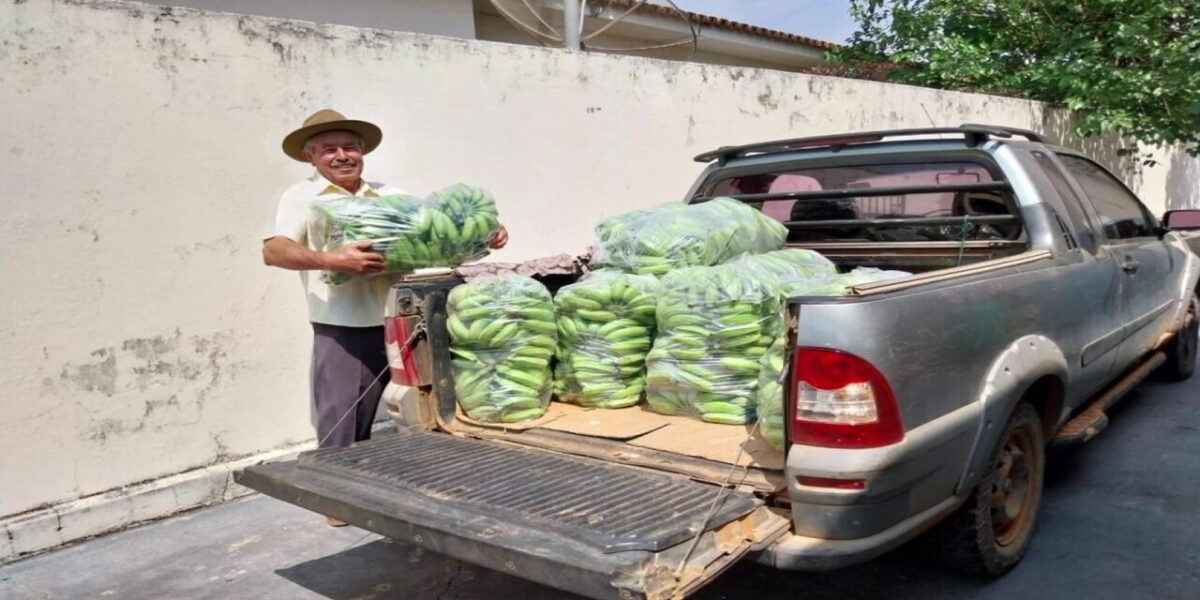 Governo de Goiás implementa desenvolvimento da agricultura familiar