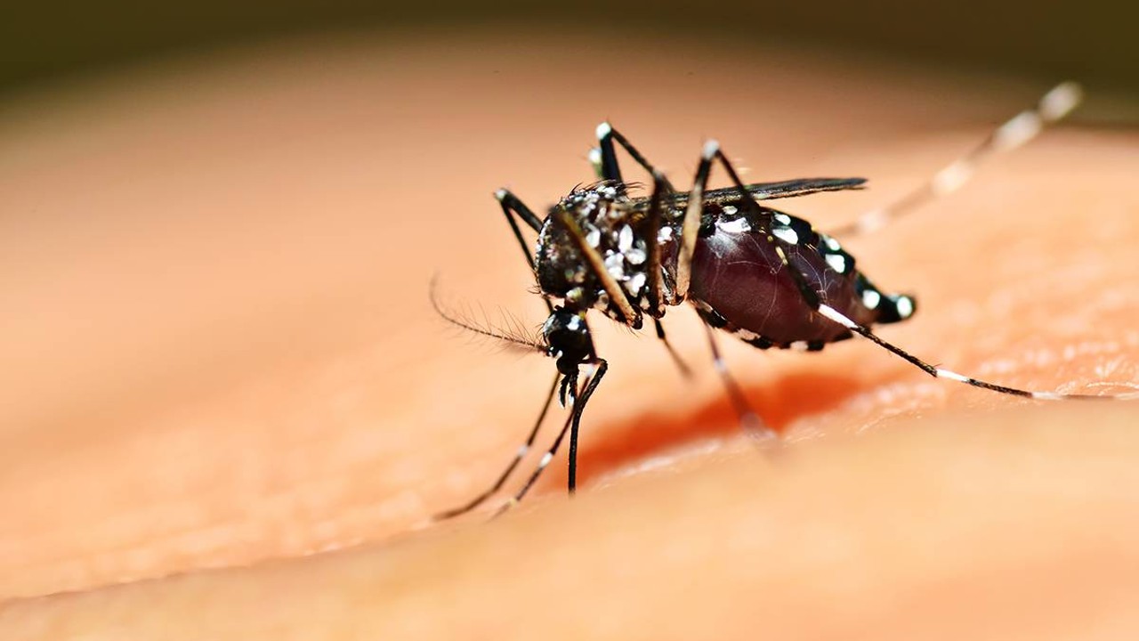 Dengue é a doença mais preocupante em Goiás no momento