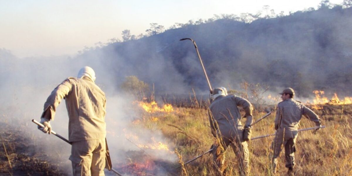 Bombeiros de Goiás combatem incêndios em outros estados