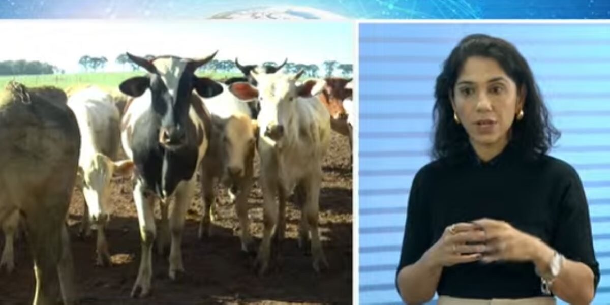 Agronegócio amplia protagonismo no contexto da economia de Goiás