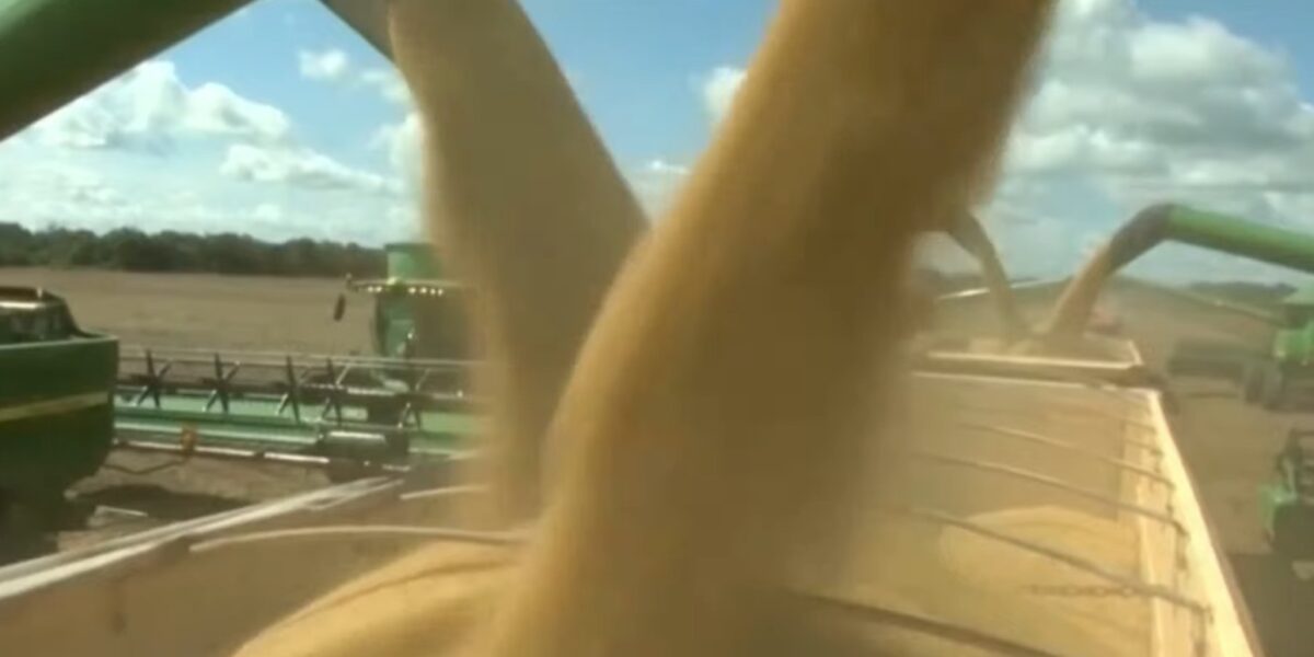 Receita estadual autua empresas por R$ 34 milhões em sonegação