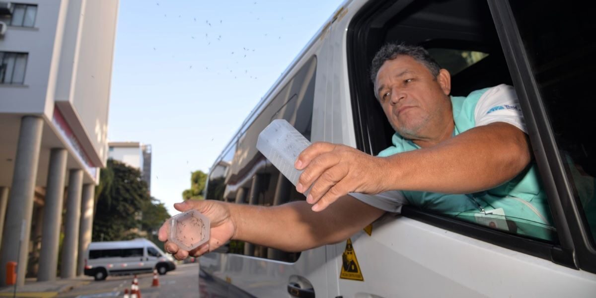 Governo estadual adota novo método de combate ao mosquito da dengue
