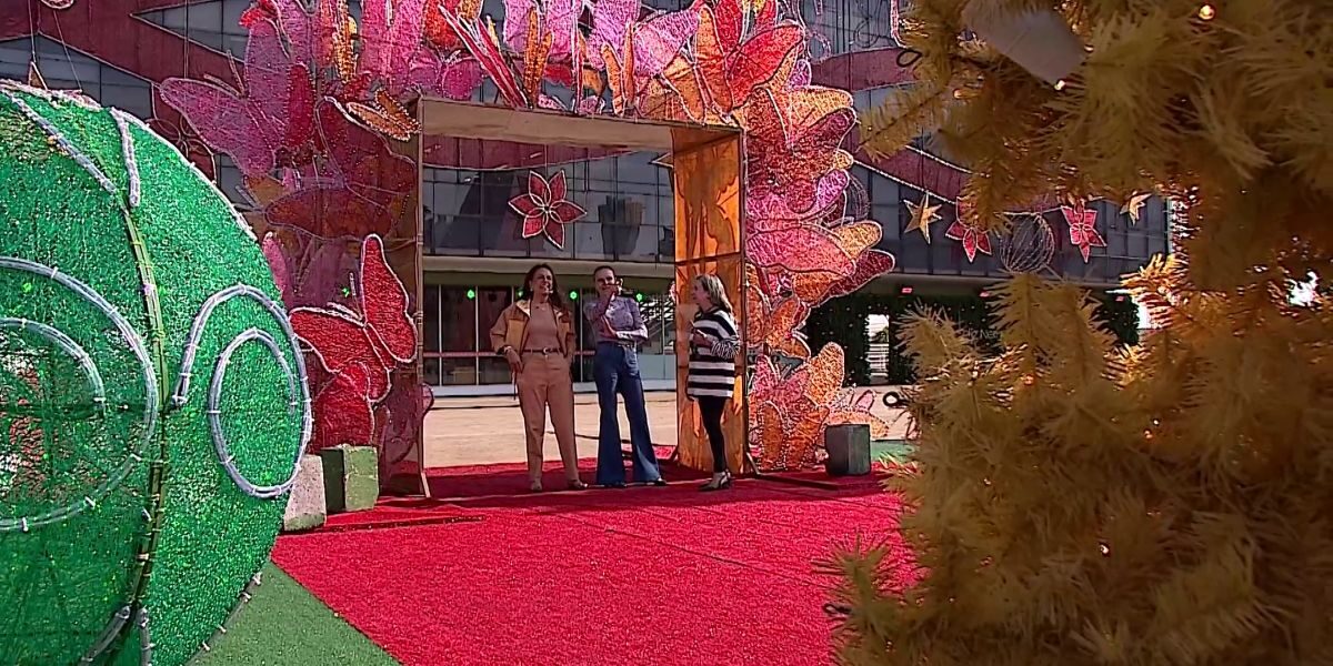 Gracinha Caiado inspeciona preparativos finais para o Natal do Bem