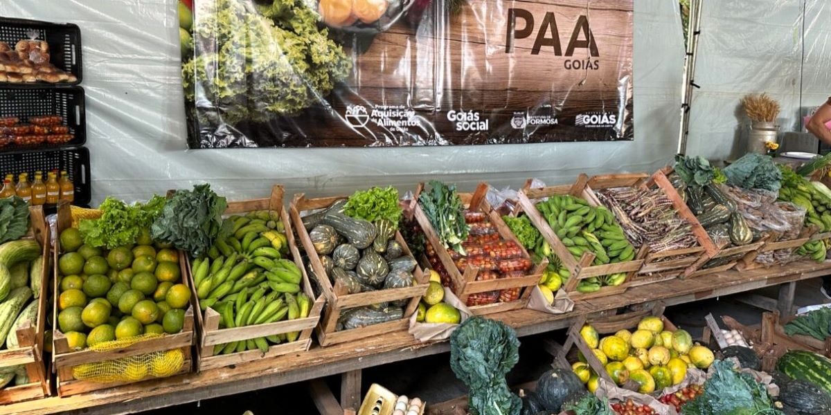 Lançado em Flores de Goiás programa de aquisição de alimentos do governo estadual