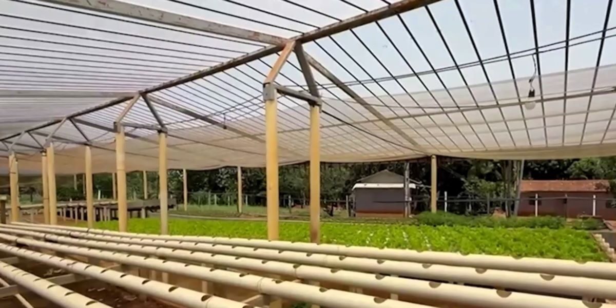 Agricultura familiar teve R$ 80 milhões em investimentos em 2025