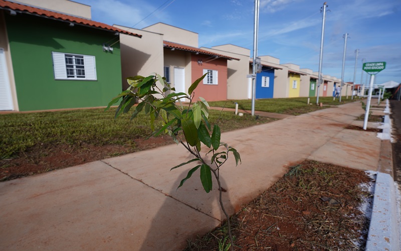 Governo de Goiás entrega 50 casas a custo zero em Itaberaí
