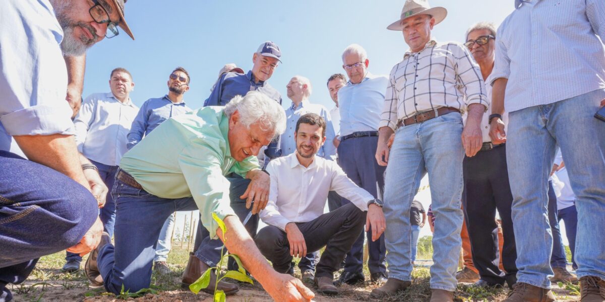 Governo de Goiás lança projeto de Fruticultura Irrigada do Vão do Paranã