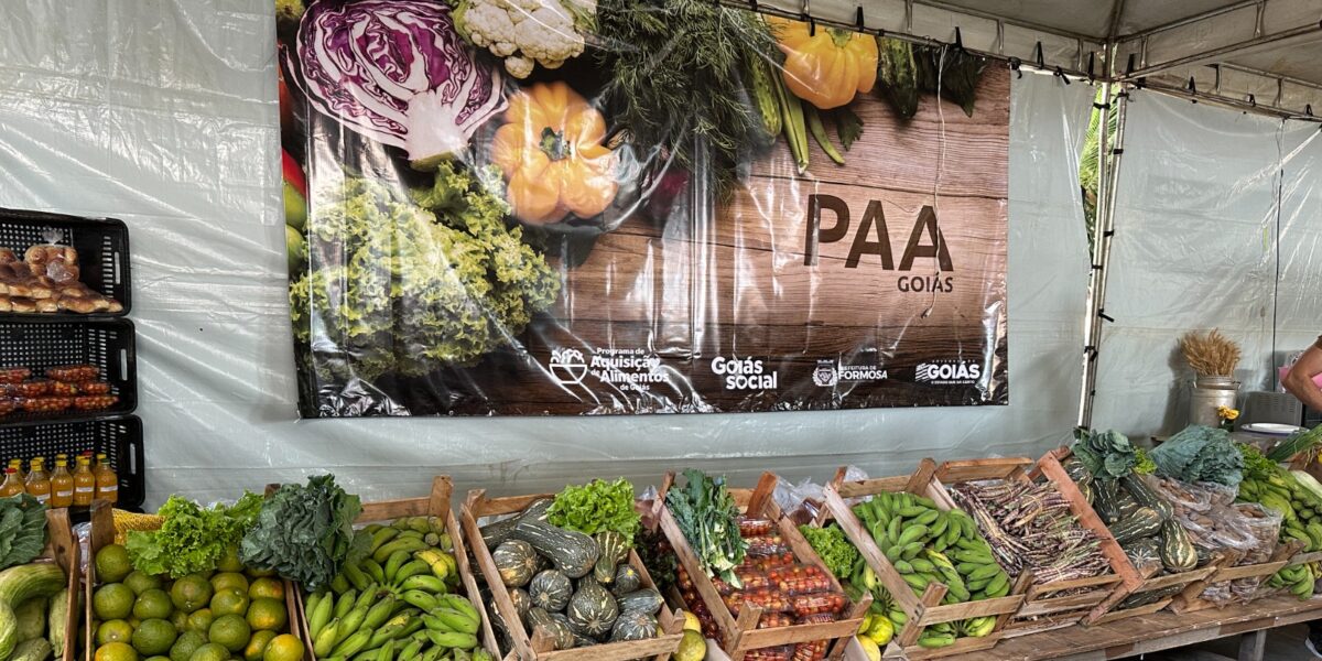 PAA Goiás 2023 investe R$ 12 milhões no fomento da agricultura familiar