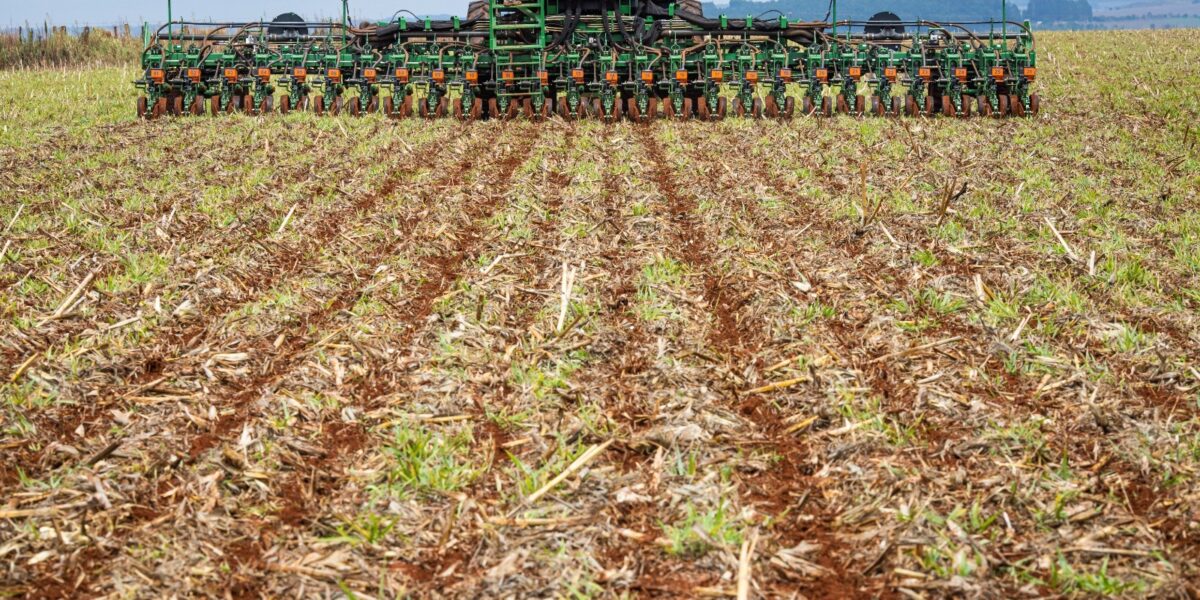 Prorrogado até 12 de janeiro o prazo para semeadura da soja em Goiás