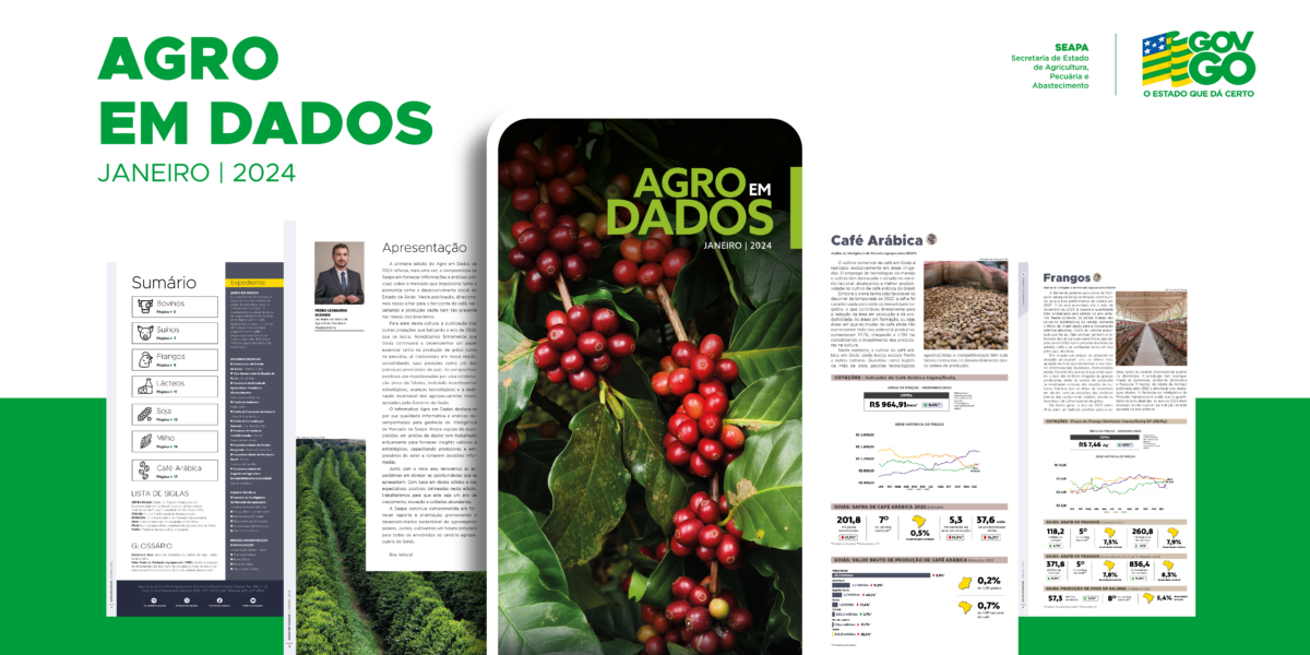 Cenário atual do cultivo de café arábica em Goiás é o destaque do Agro em Dados