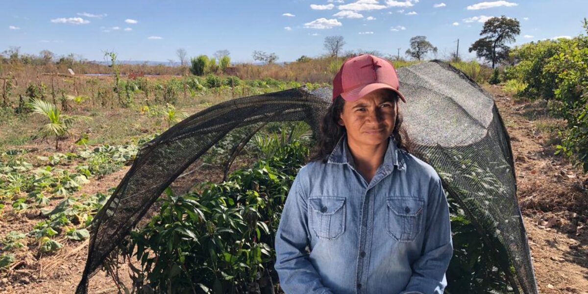 Mulheres são maioria dos beneficiados por programas do Estado para agricultura familiar