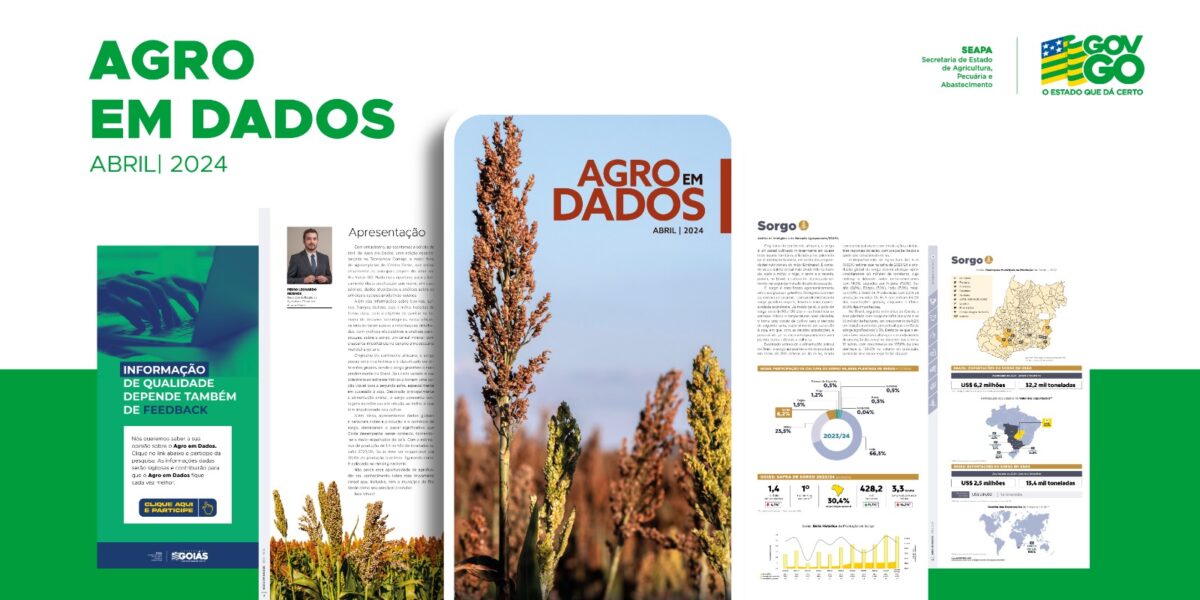 Agro em Dados: edição de abril explora o cenário do cultivo de sorgo em Goiás