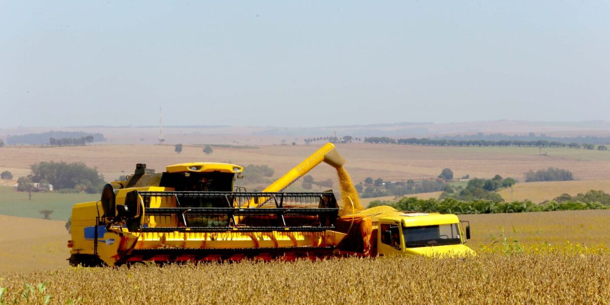 Agronegócio em Goiás emprega mais de 1 milhão de pessoas em 2023