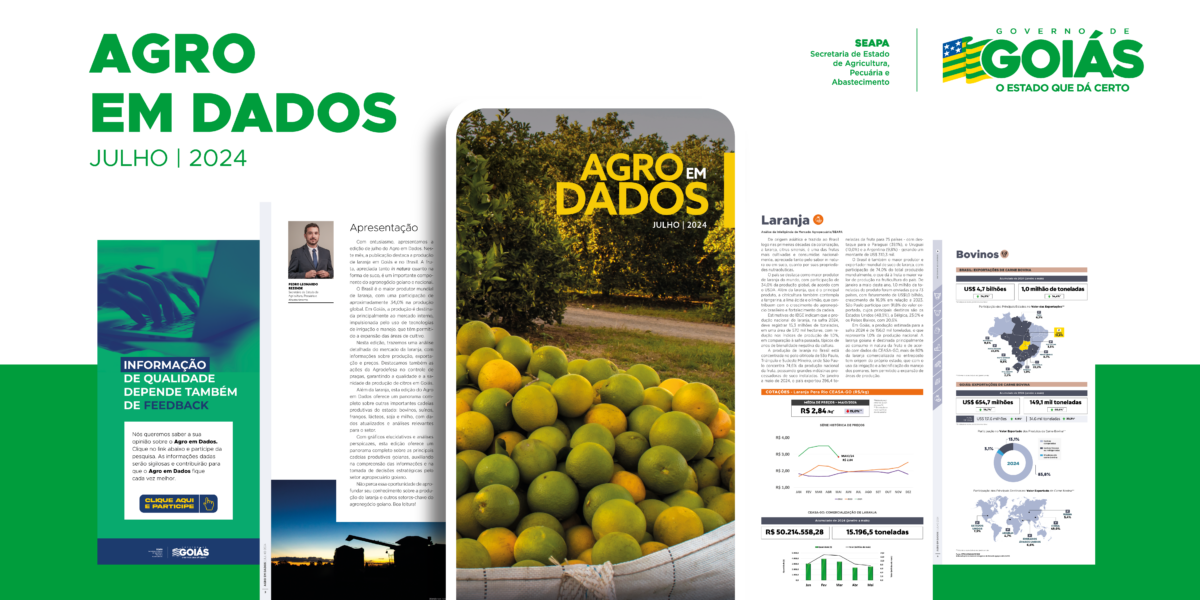 Agro em Dados: nova edição traz informações sobre a produção de laranja em Goiás