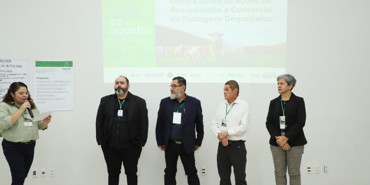 Oficina técnica promovida pela Seapa debate sustentabilidade no campo