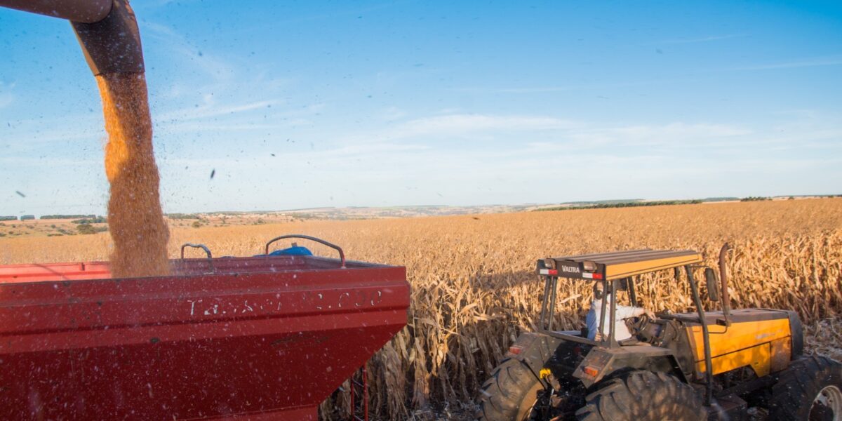 Mercado de trabalho do agronegócio goiano atinge recorde em série histórica