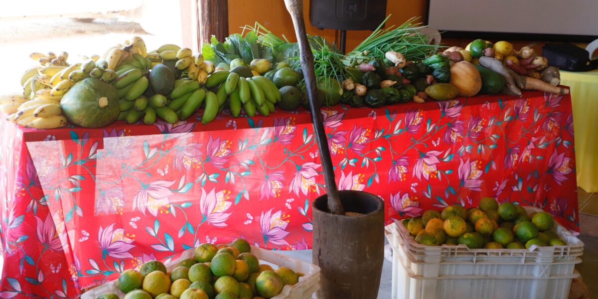 Governo de Goiás lança edital do Programa de Aquisição de Alimentos Quilombola