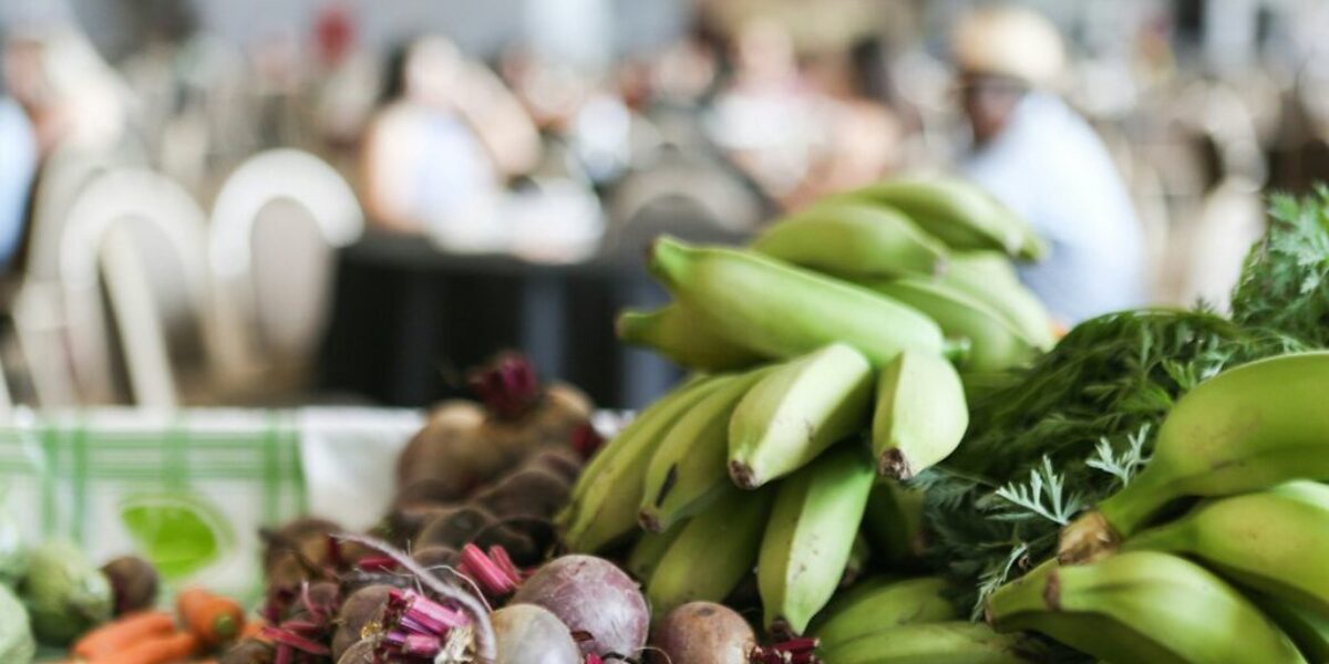 Capital de Goiás adere ao Sistema Nacional de Segurança Alimentar e Nutricional