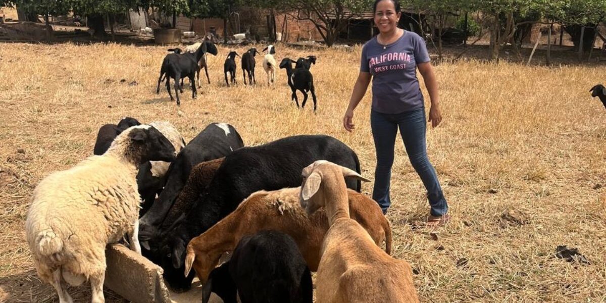 Governo de Goiás destina recursos a agricultores familiares