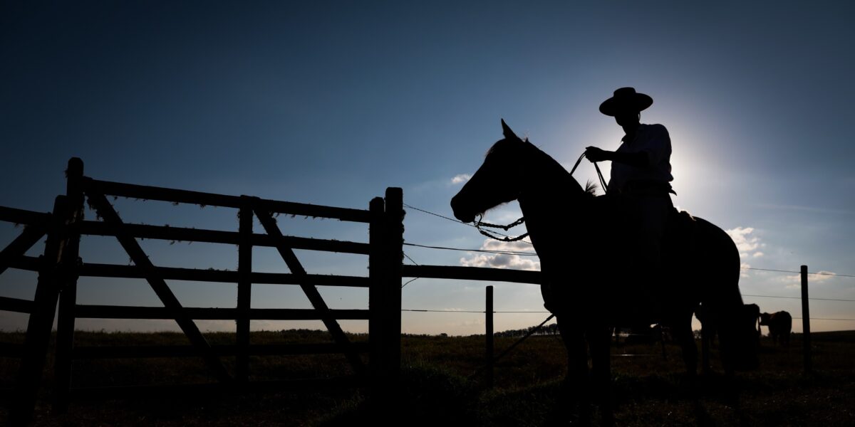 FCO Rural ultrapassa R$ 1 bilhão em financiamentos aprovados em 2025