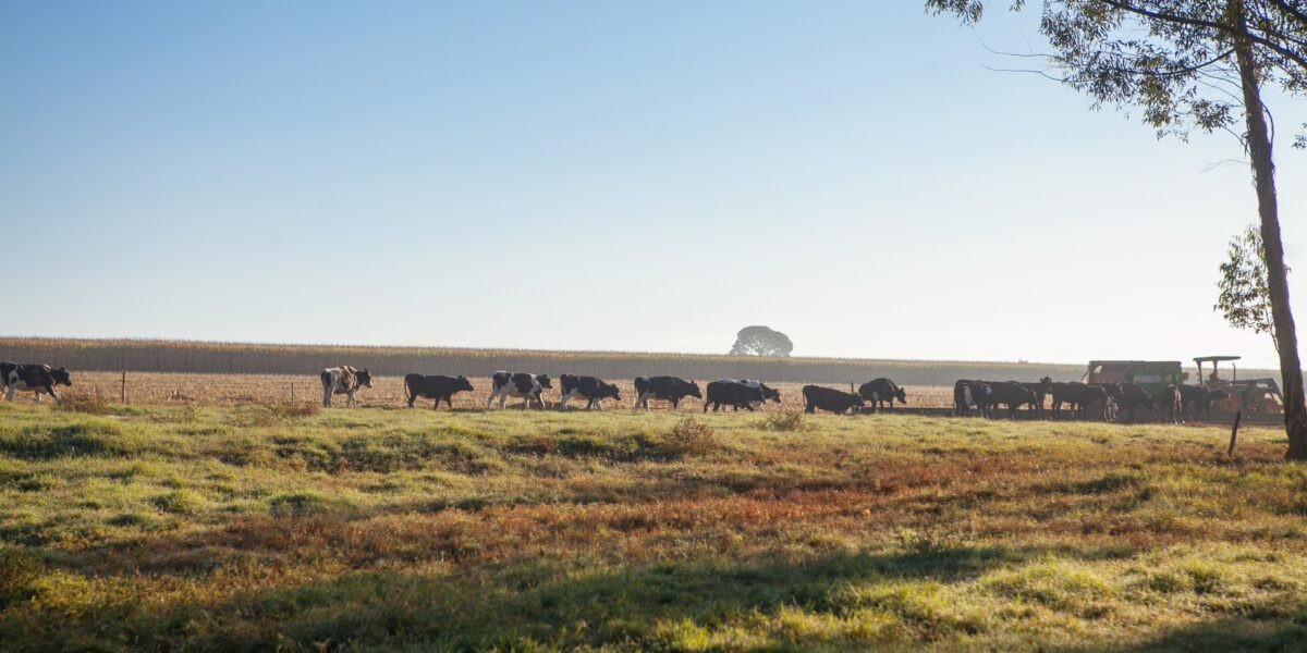 Goiás reforça seu papel estratégico na agropecuária